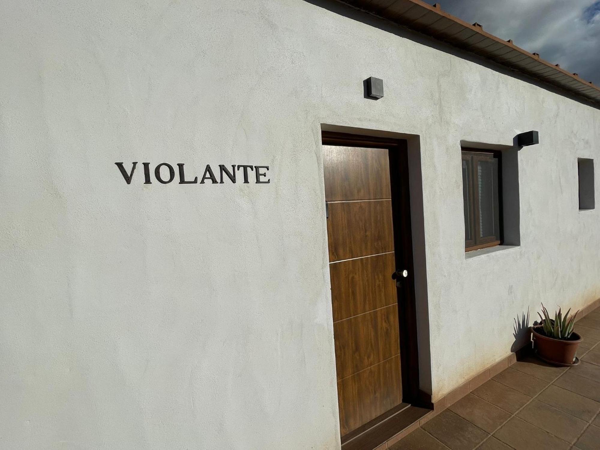 Apartamentos Violante Tuineje エクステリア 写真